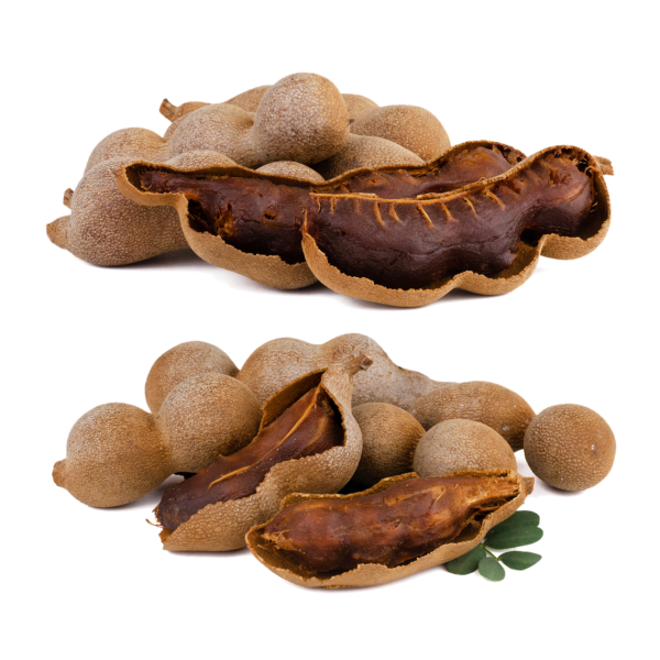 tamarind, fruit, sour, seed, food, fresh, edible, brown, nature, tropical, sweet, ingredient, asian, ripe, tamarindus, vegetable, thai, healthy, nutrition, organic, freshness, exotic, tamarind, tamarind, tamarind, tamarind, tamarind