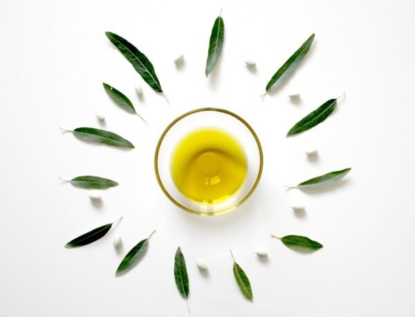 olive, oil, leaf, plant, eat, food, mediterranean, green, table, decoration, olive, oil, nature, oil, oil, oil, oil, leaf