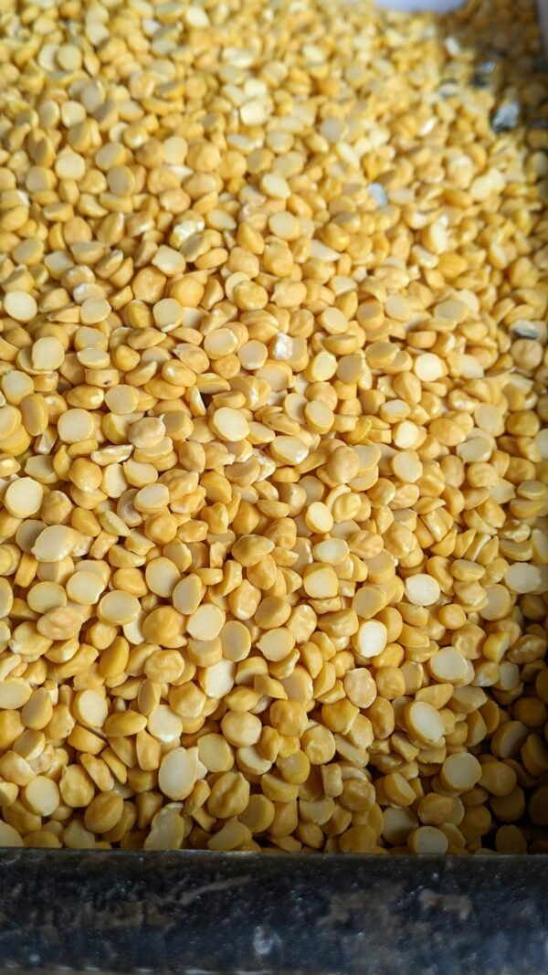 Detailed close-up of yellow split peas on a metal tray, showcasing texture and color.